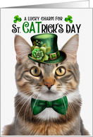 Fluffy Tabby Cat Funny St CATrick’s Day Lucky Charm card