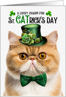 Orange Exotic Shorthair Cat Funny St CATrick’s Day Lucky Charm card