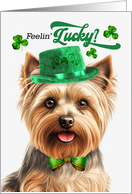St Patrick’s Day Silky Terrier Dog Feelin’ Lucky Clovers card