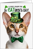 Tabby Oriental Shorthair Cat Funny St CATrick’s Day Lucky Charm card