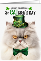 Silver Tabby Persian Cat Funny St CATrick’s Day Lucky Charm card
