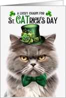 Smoke Persian Cat Funny St CATrick’s Day Lucky Charm card