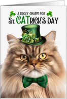 Tri Color Persian Cat Funny St CATrick’s Day Lucky Charm card