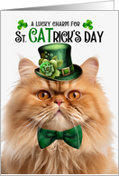 Ginger Persian Cat Funny St CATrick’s Day Lucky Charm card