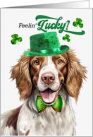 St Patrick’s Day Welsh Springer Spaniel Dog Feelin’ Lucky Clovers card