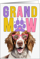 GrandMAW Welsh Springer Spaniel Dog Grandparents Day card