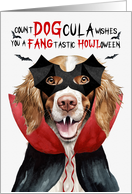 Welsh Springer Spaniel Dog Funny Halloween Count DOGcula card