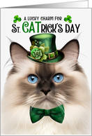 Seal Point Ragdoll Cat Funny St CATrick’s Day Lucky Charm card