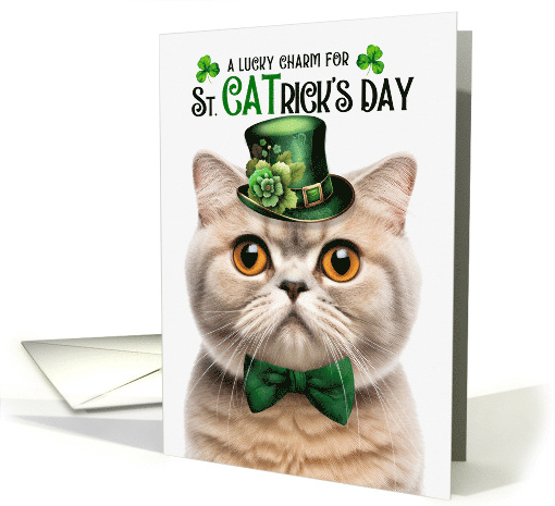 Cream Scottish Fold Cat Funny St CATrick's Day Lucky Charm card