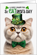 Cream Scottish Fold Cat Funny St CATrick’s Day Lucky Charm card