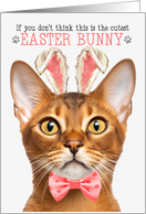 Abyssinian Cat Cutest Easter Bunny Funny Kitty Puns card