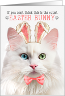 Turkish Angora Cat Cutest Easter Bunny Funny Kitty Puns card