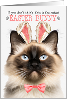 Balinese Cat Cutest Easter Bunny Funny Kitty Puns card