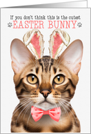 Bengal Cat Cutest Easter Bunny Funny Kitty Puns card
