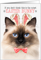 Birman Cat Cutest Easter Bunny Funny Kitty Puns card