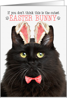 Fluffy Black Cat Cutest Easter Bunny Funny Kitty Puns card