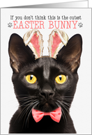 Black Bombay Cat Cutest Easter Bunny Funny Kitty Puns card