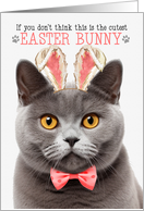 Gray British Shorthair Cat Cutest Easter Bunny Funny Kitty Puns card