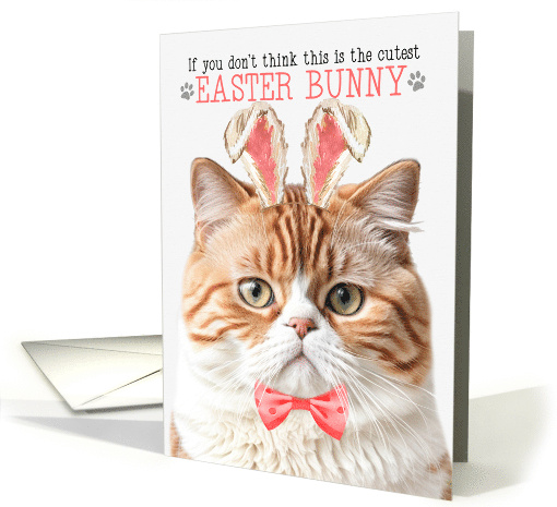 Orange Tabby British Shorthair Cat Cutest Easter Bunny Funny card