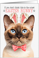 Burmese Cat Cutest Easter Bunny Funny with Feline Puns card