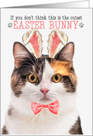 Calico Cat Cutest Easter Bunny Funny with Feline Puns card
