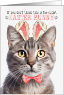 Champagne Tabby Cat Cutest Easter Bunny Funny with Feline Puns card