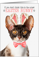 Cornish Rex Cat Cutest Easter Bunny Funny Kitty Puns card