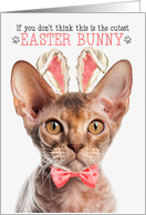 Devon Rex Cat Cutest Easter Bunny Funny Kitty Puns card