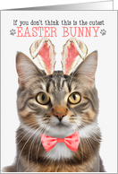 Fluffy Tabby Cat Cutest Easter Bunny Funny Kitty Puns card