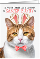 Orange Tabby Cat Cutest Easter Bunny Funny Kitty Puns card