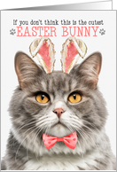 Gray Marbled Tabby Cat Cutest Easter Bunny Funny Kitty Puns card