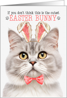 Champagne Tabby Cat Cutest Easter Bunny Funny Kitty Puns card