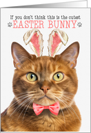 Ginger Cat Cutest Easter Bunny Funny Kitty Puns card