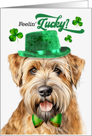 St Patrick’s Day Wheaten Terrier Dog Feelin’ Lucky Clovers card