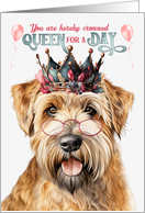 Birthday Wheaten Terrier Dog Funny Queen for a Day card