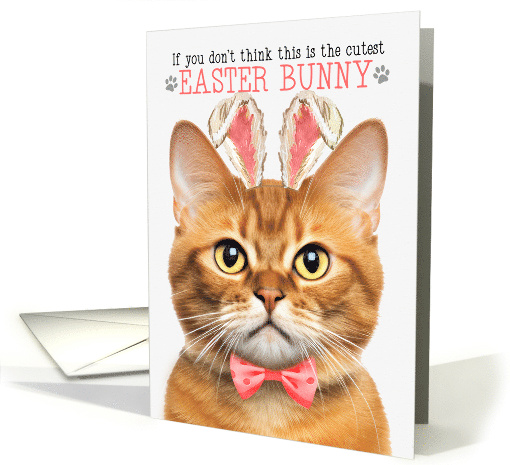 Ginger Tabby Cat Cutest Easter Bunny Funny Kitty Puns card (1819212)