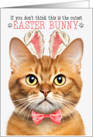 Ginger Tabby Cat Cutest Easter Bunny Funny Kitty Puns card