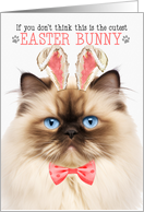 Himalayan Cat Cutest Easter Bunny Funny Kitty Puns card