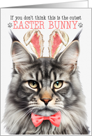 Silver Tabby Maine Coon Cat Cutest Easter Bunny Funny Kitty Puns card