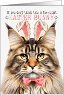 Brown Tabby Maine Coon Cat Cutest Easter Bunny Funny Kitty Puns card
