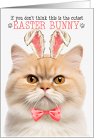 Munchkin Cat Cutest Easter Bunny Funny Kitty Puns card