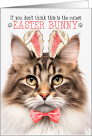 Brown Marble Norwegian Forest Cat Cutest Easter Bunny Kitty Puns card