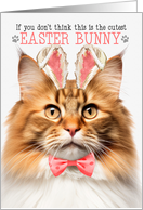 Ginger Norwegian Forest Cat Cutest Easter Bunny Kitty Puns card
