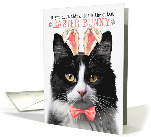Black and White Tuxedo Cat Cutest Easter Bunny Kitty Puns card