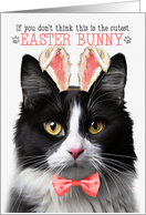 Black and White Tuxedo Cat Cutest Easter Bunny Kitty Puns card