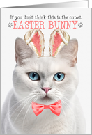 White Shorthair Cat Cutest Easter Bunny Kitty Puns card