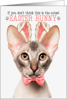 Oriental Shorthair Cat Cutest Easter Bunny Kitty Pun card