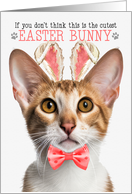 Oriental Tri Color Shorthair Cat Cutest Easter Bunny Kitty Pun card