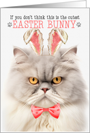 Silver and Cream Persian Cat Cutest Easter Bunny Kitty Pun card