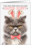 Smoke Gray Persian Cat Cutest Easter Bunny Kitty Puns card